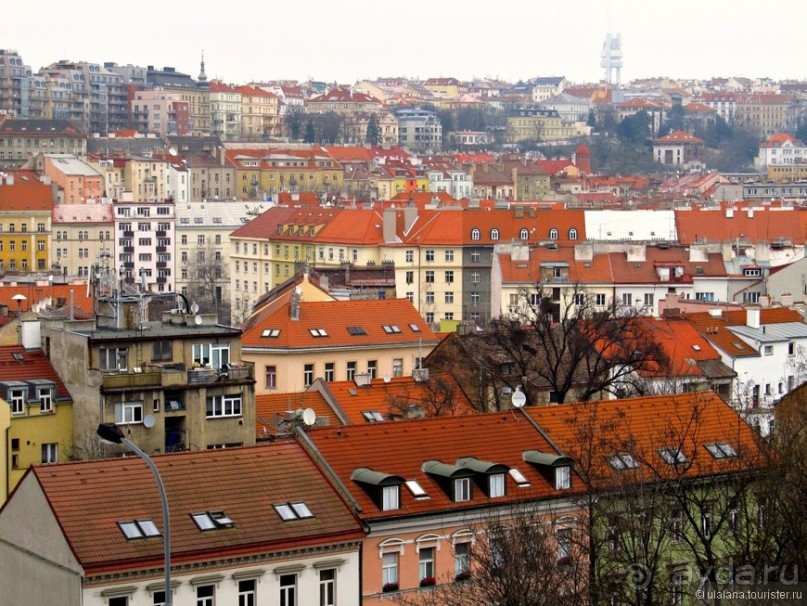 Zlata Praha: желто-красные зарисовки