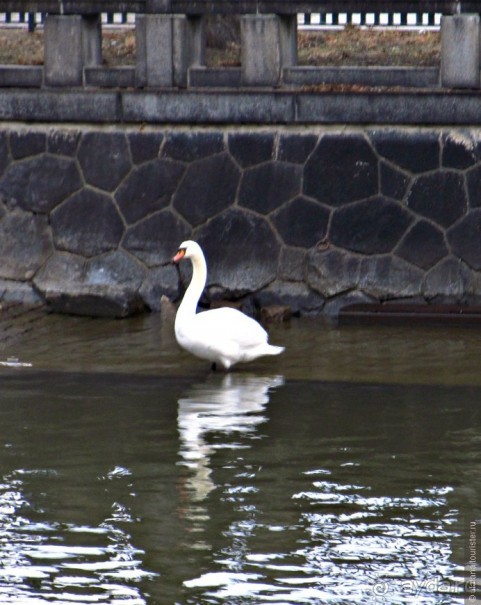 Zlata Praha: желто-красные зарисовки