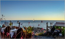 Альбом отзыва "Side Anthic"