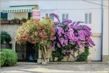 Альбом отзыва "Все, что Вы не знали о Хорватии, но стеснялись спросить. Часть2"