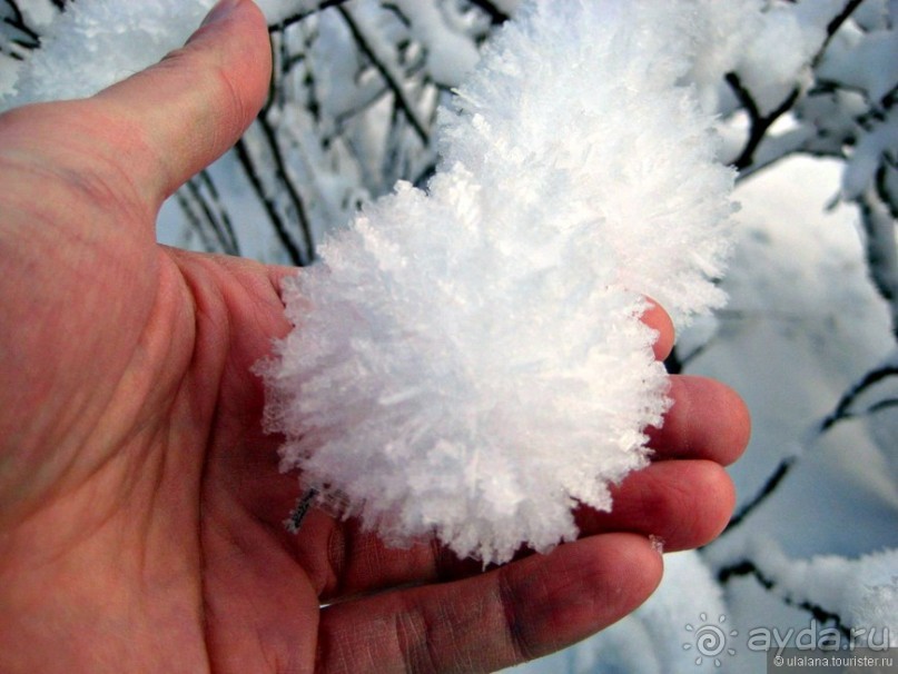 Альбом отзыва "Австрия из окна автомобиля"