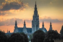 Вены крыши