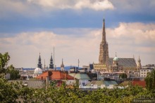 Вены крыши
