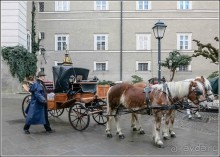 Соль Зальцбурга