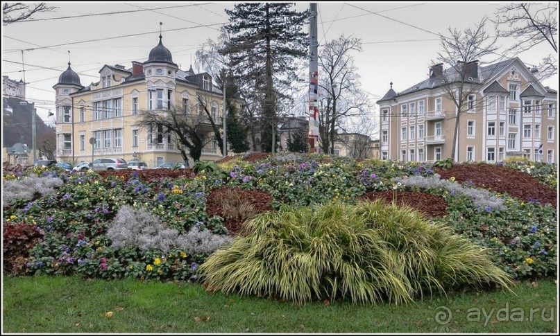 Соль Зальцбурга