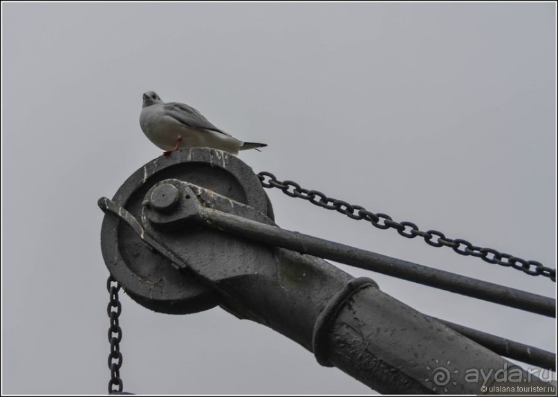 Старинный Бамберг