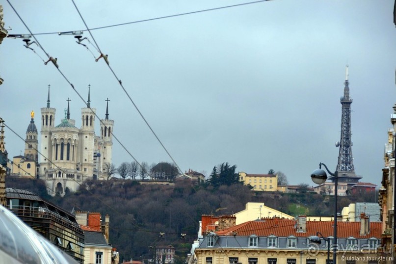 Знакомьтесь, мсьё Лион!