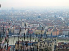 Знакомьтесь, мсьё Лион!