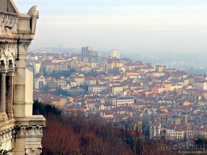 Знакомьтесь, мсьё Лион!