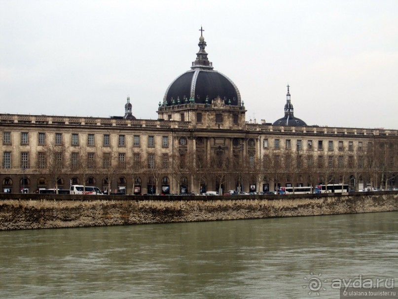 Знакомьтесь, мсьё Лион!