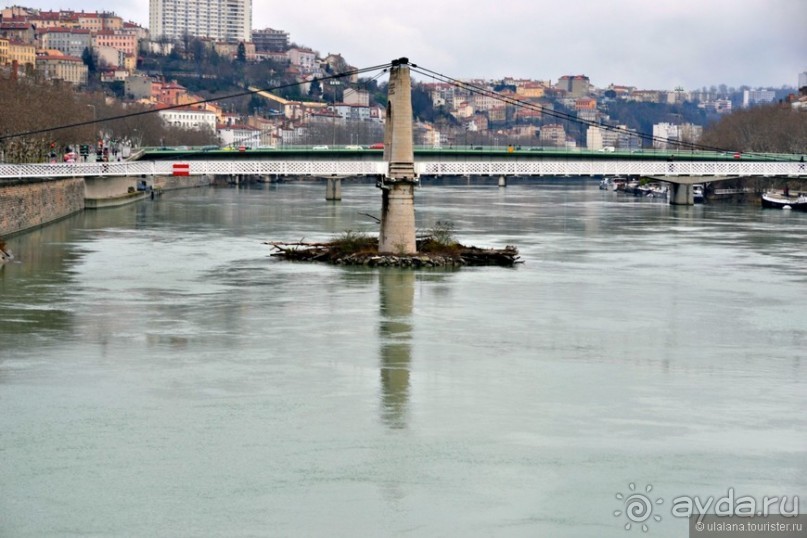 Знакомьтесь, мсьё Лион!