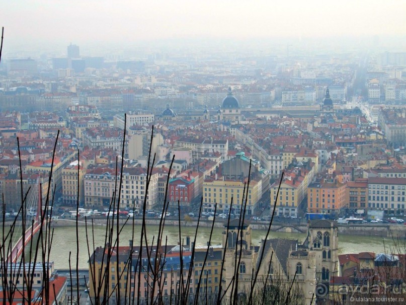 Знакомьтесь, мсьё Лион!