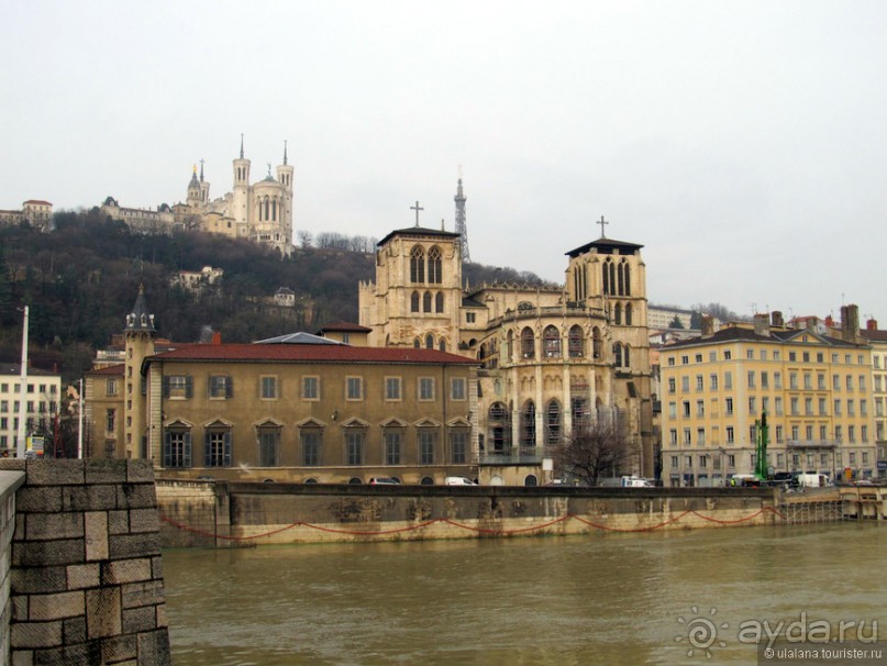 Знакомьтесь, мсьё Лион!
