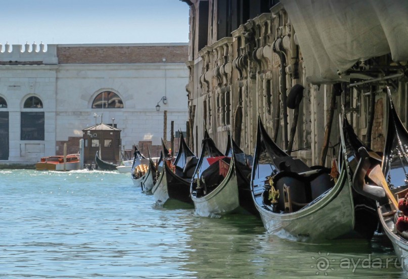 Загадочная улыбка Венеции