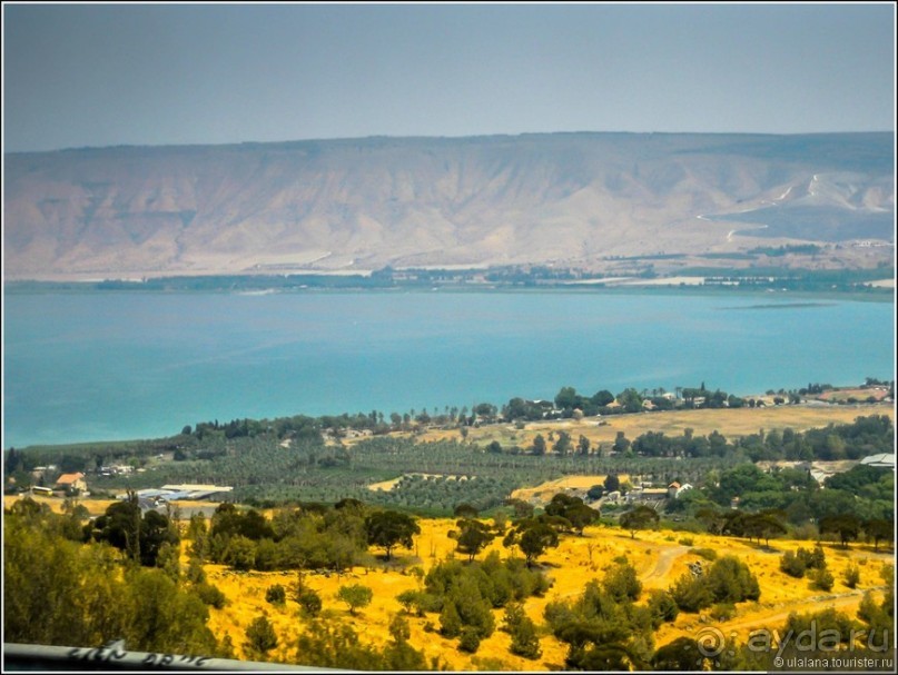 Шолем Алейхем, Израиль!