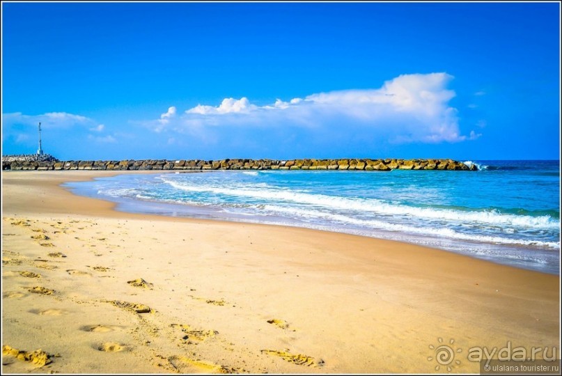 Шолем Алейхем, Израиль!