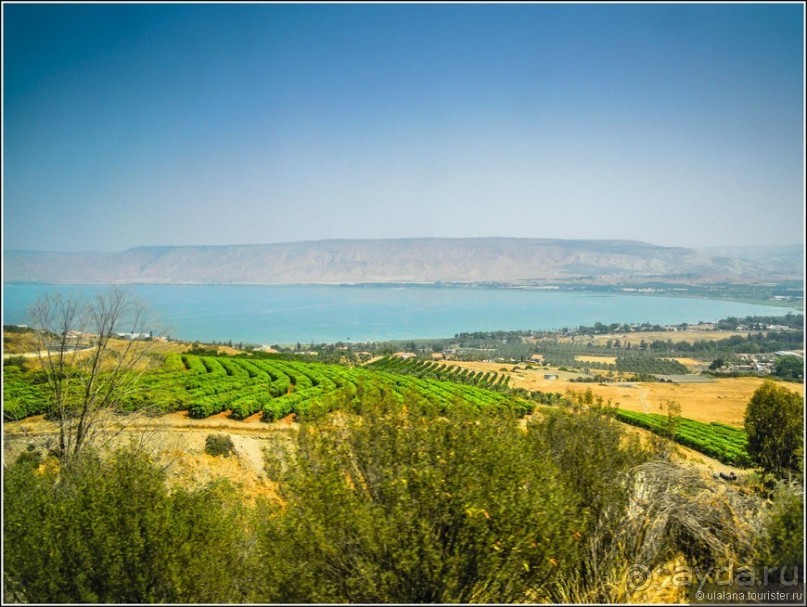 Шолем Алейхем, Израиль!