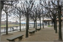 Элегантный Дрезден