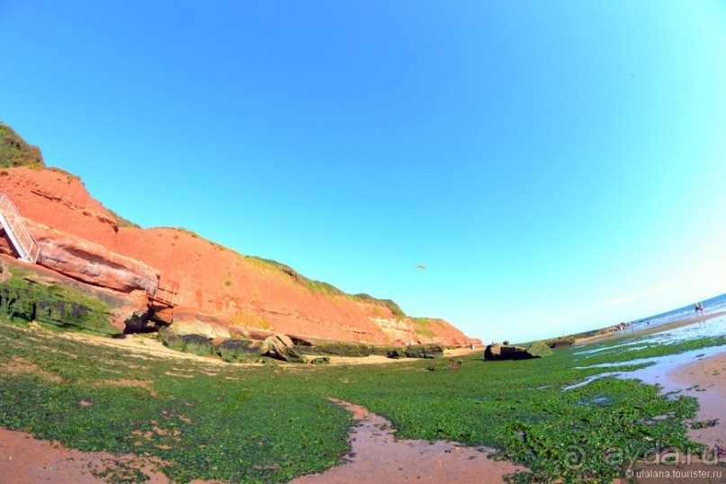 Англия: 240 часов счастья