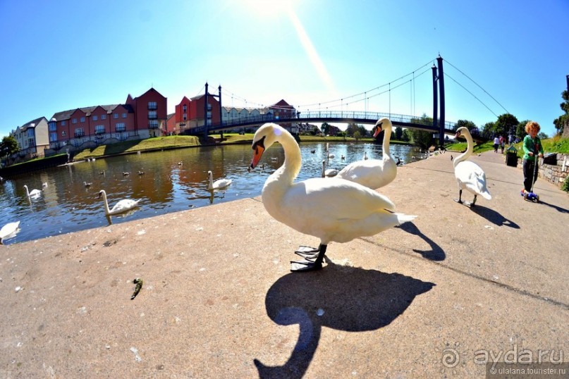 Англия: 240 часов счастья