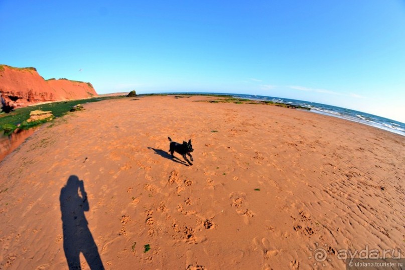 Англия: 240 часов счастья