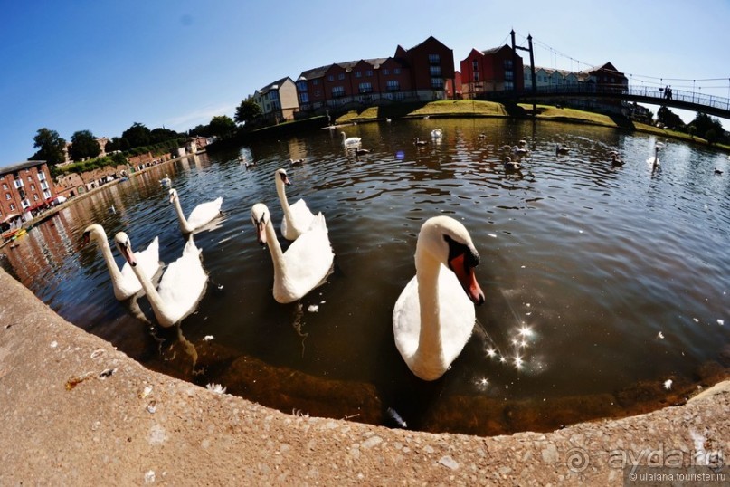 Англия: 240 часов счастья