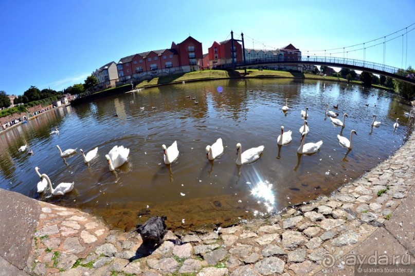 Англия: 240 часов счастья