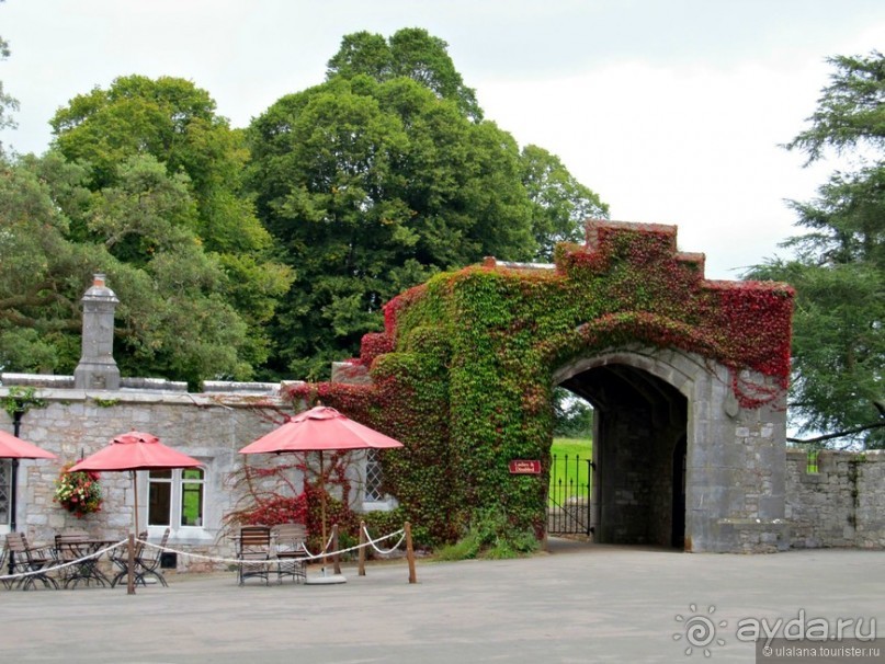 Англия: 240 часов счастья