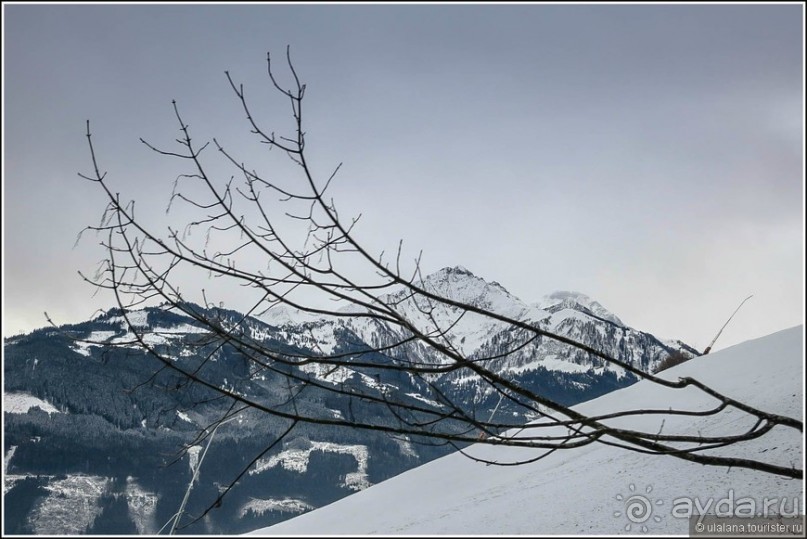 Цель на озере