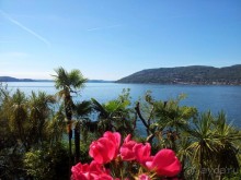 Савойские страсти.