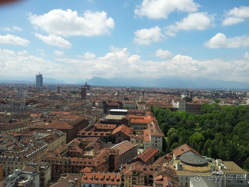 Савойские страсти.