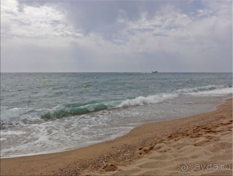 фото Blaumar