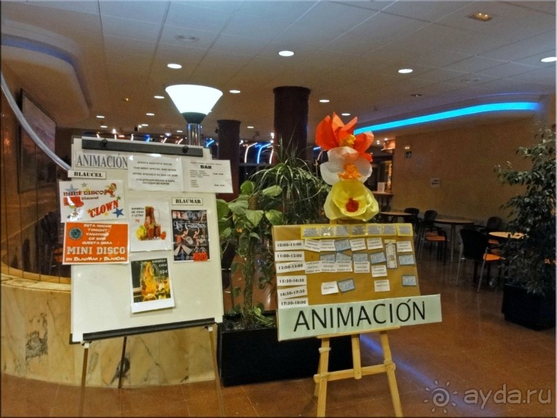 Оптимальный отель, хочется вернуться туда снова и в этом году едем туда опять