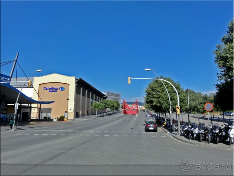 фото Альбатрос