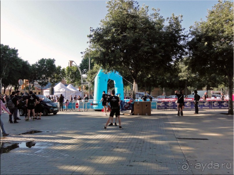 фото Альбатрос