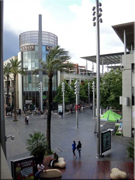 фото Альбатрос