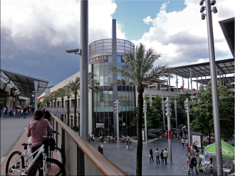 фото Альбатрос