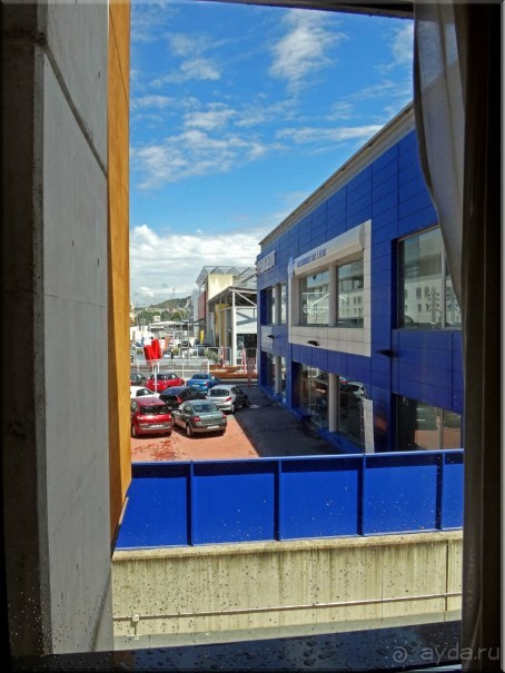 фото Альбатрос