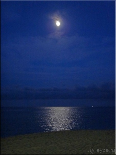 Очень приятный ресторанчик в плане месторасположения, кухни и дружелюбия персонала 