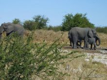 Намибия - Ботсвана - Зимбабве – Замбия