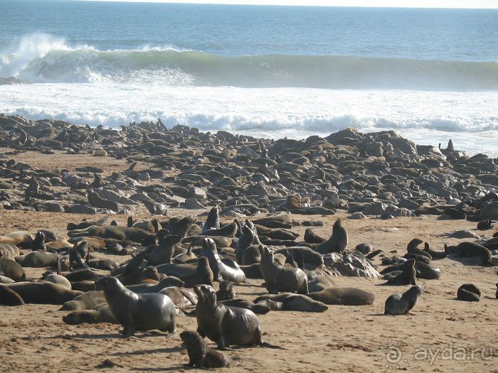 Намибия - Ботсвана - Зимбабве – Замбия