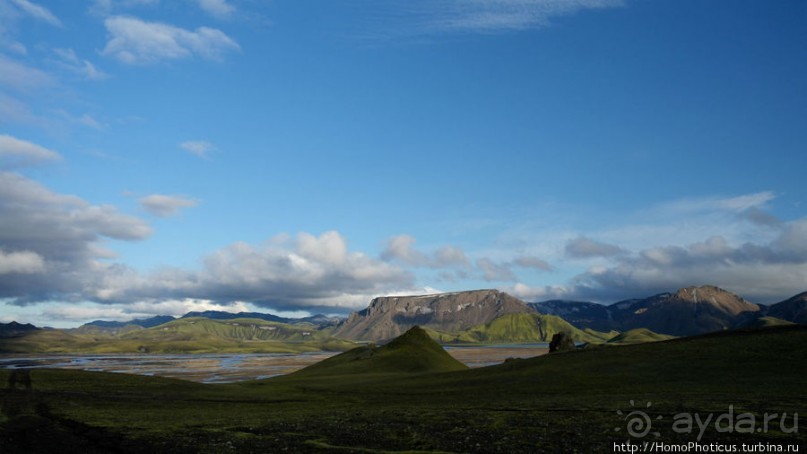 Ужасная лужа