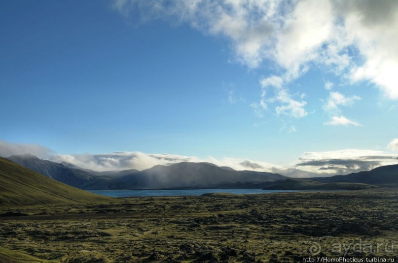 Ужасная лужа