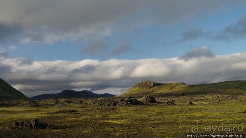 Ужасная лужа