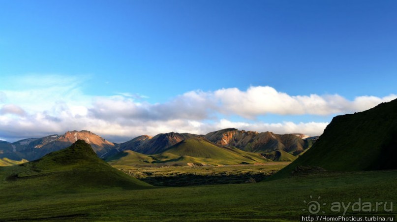 Ужасная лужа