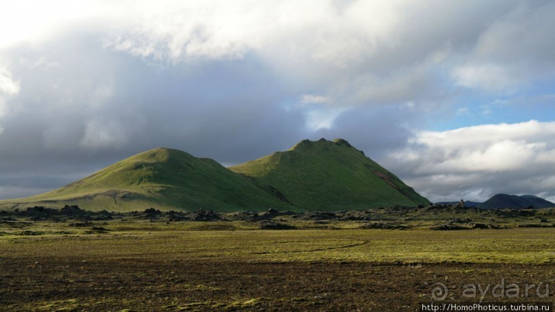 Ужасная лужа