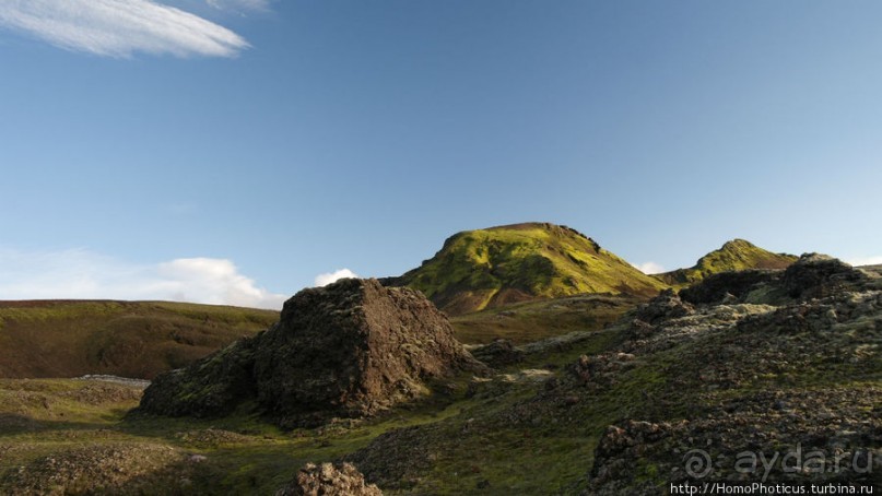 Ужасная лужа