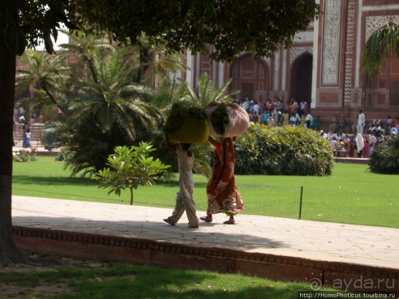 Сокровища Агры