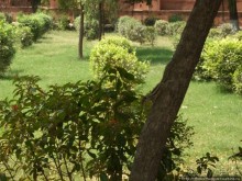 Сокровища Агры