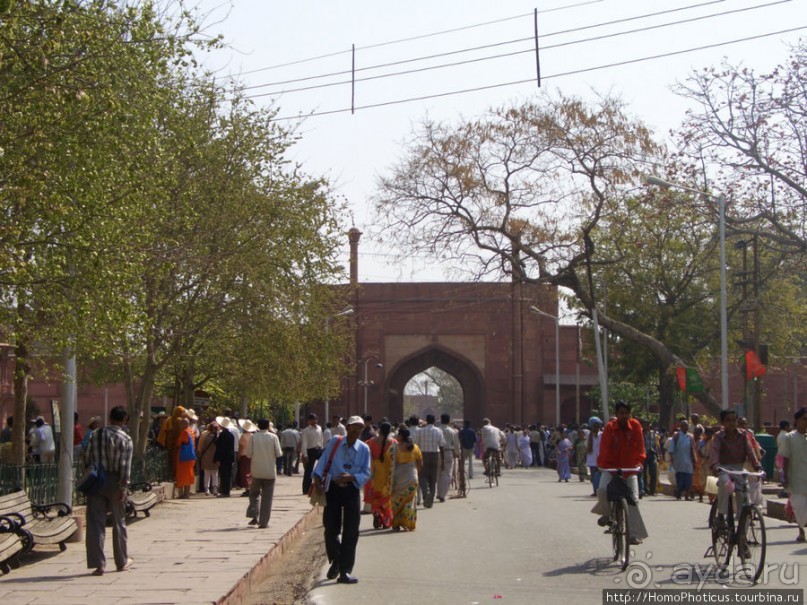 Сокровища Агры